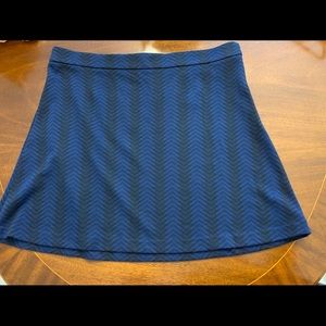 Anne Taylor sweater skirt